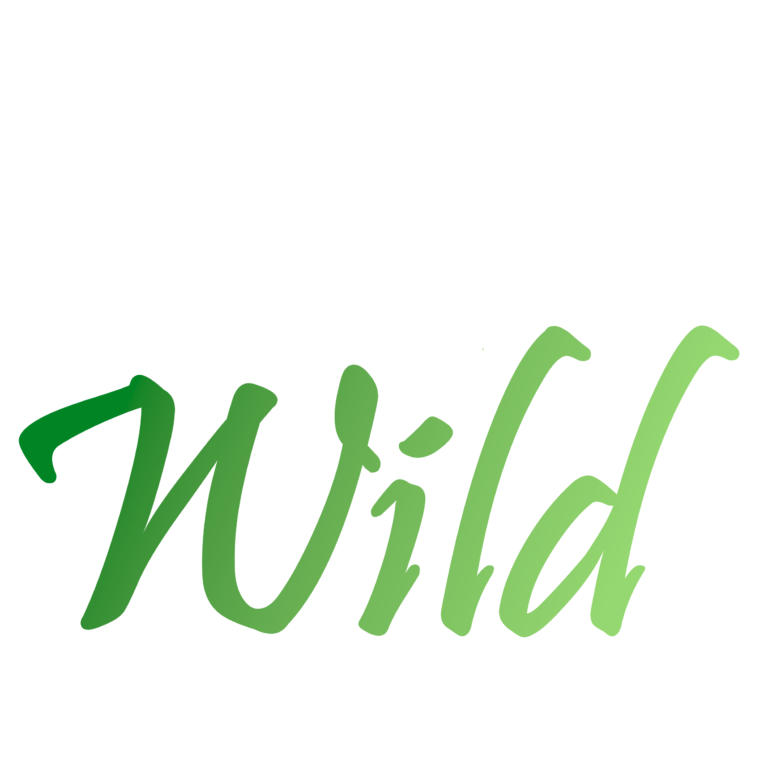 Indy Wild