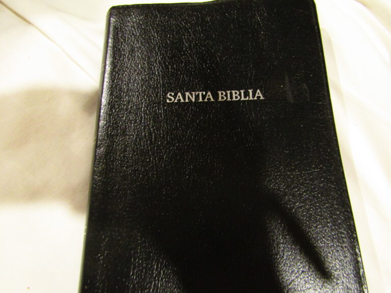 My Spanish Bible